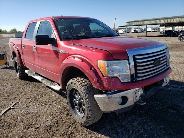 FORD F150 SUPER 2010 1ftew1e86afb39055