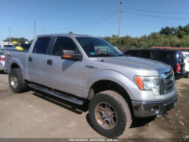 FORD F-150 2010 1ftew1e86afb92791