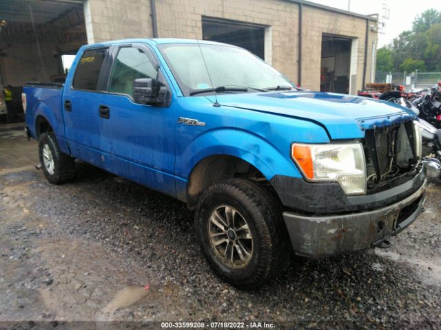 FORD F-150 2010 1ftew1e86afc42864