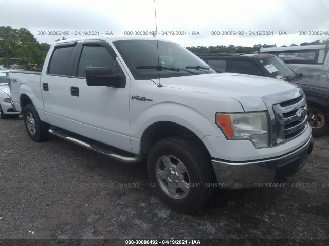 FORD F-150 2010 1ftew1e86afc61334