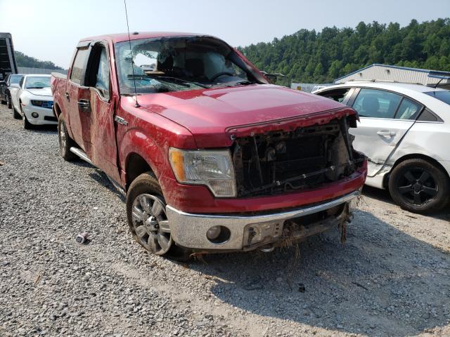 FORD F150 SUPER 2010 1ftew1e86afd64768