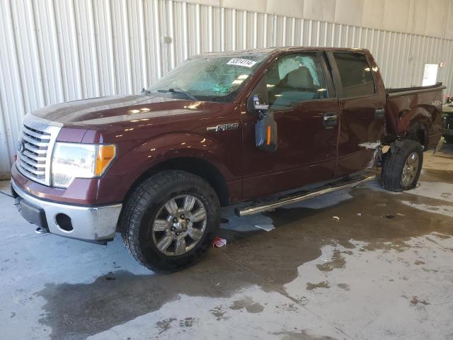 FORD F-150 2010 1ftew1e86afd75026