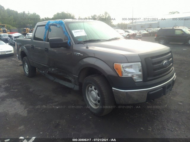 FORD F-150 2010 1ftew1e86afd82865