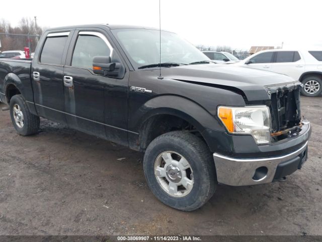 FORD F150 2010 1ftew1e86aka23555