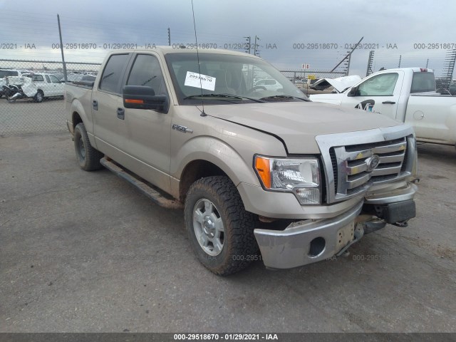 FORD F-150 2010 1ftew1e86aka76028