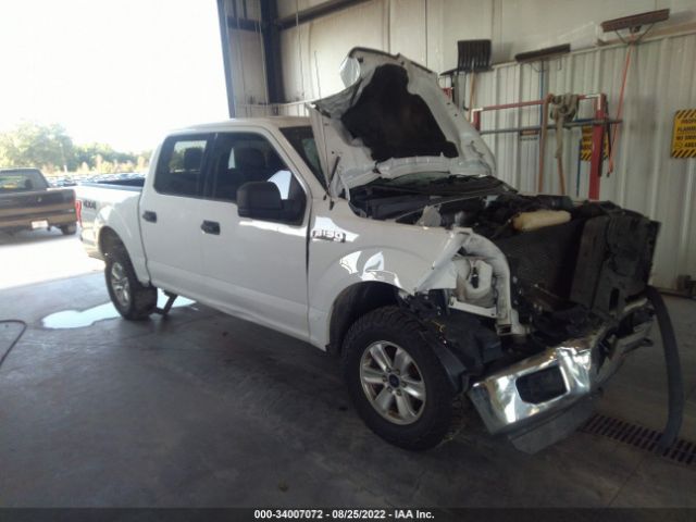 FORD F-150 2015 1ftew1e86ffa97073