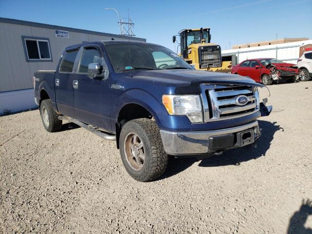 FORD F150 SUPER 2010 1ftew1e87afa15327