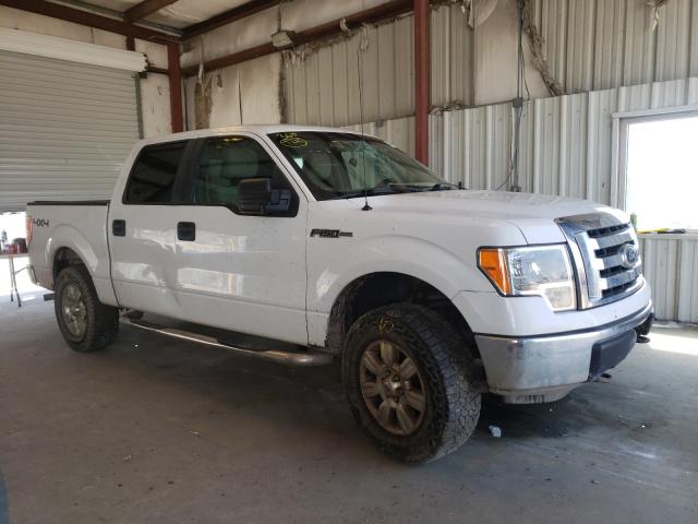 FORD F150 SUPER 2010 1ftew1e87afa63491