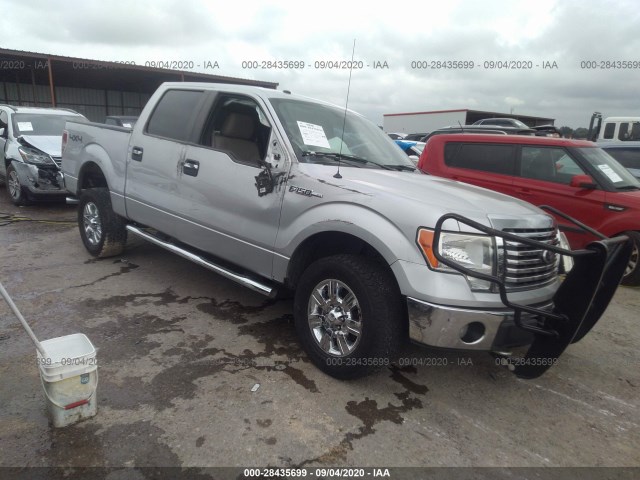 FORD F-150 2010 1ftew1e87afa65404