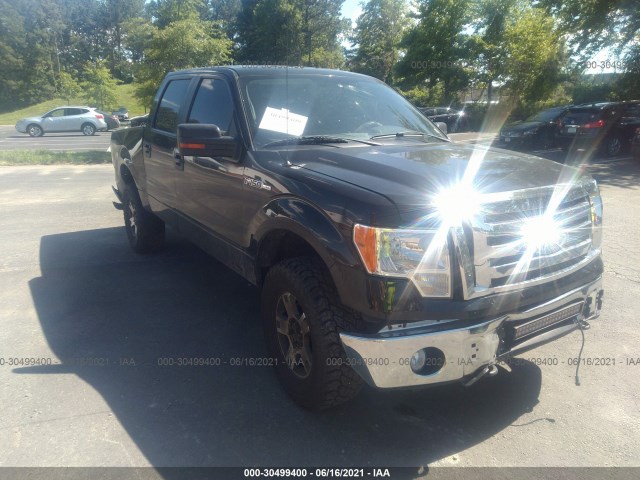 FORD F-150 2010 1ftew1e87afa82574