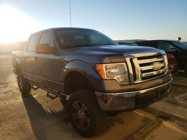 FORD F150 SUPER 2010 1ftew1e87afb28291