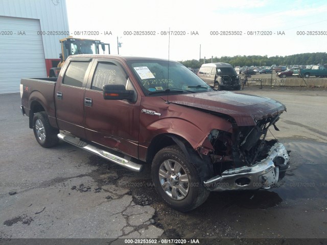 FORD F-150 2010 1ftew1e87afb29425