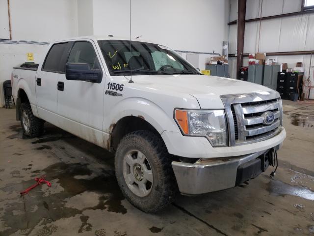 FORD F150 SUPER 2010 1ftew1e87afb57855