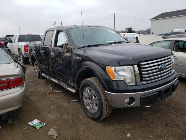 FORD F150 SUPER 2010 1ftew1e87afb99801