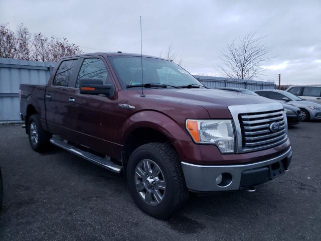 FORD F150 SUPER 2010 1ftew1e87afc41450