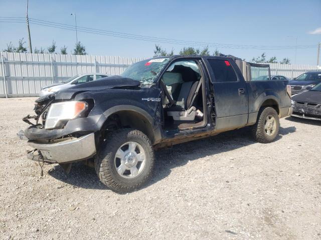 FORD F150 SUPER 2010 1ftew1e87afc80040