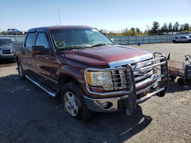 FORD F150 SUPER 2010 1ftew1e87afd30497