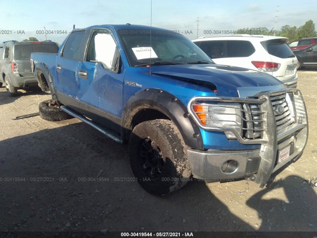 FORD F-150 2010 1ftew1e87afd64312