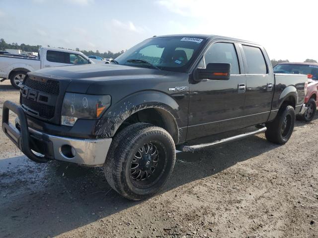 FORD F-150 2010 1ftew1e87afd87508