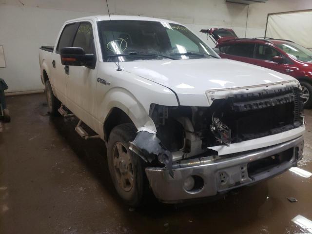 FORD F150 SUPER 2010 1ftew1e87akc09475