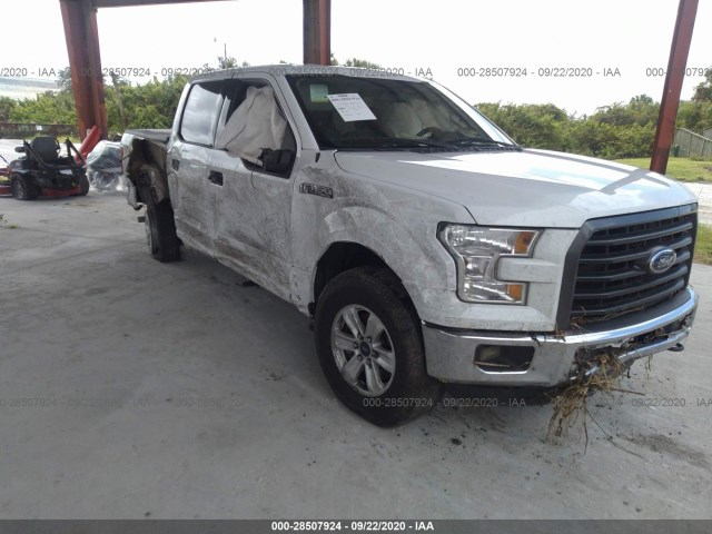 FORD F-150 2015 1ftew1e87fkd06523