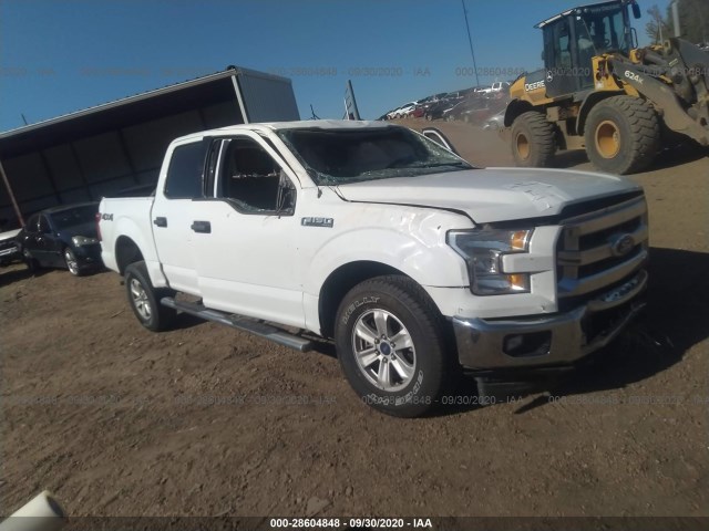 FORD F-150 2017 1ftew1e87hkd01115