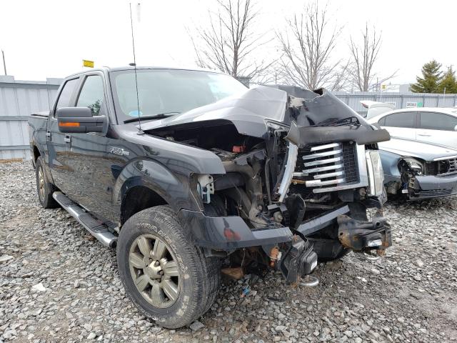 FORD F150 SUPER 2010 1ftew1e88afa15689