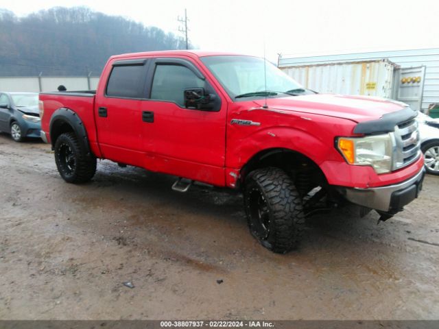 FORD F-150 2010 1ftew1e88afa25073