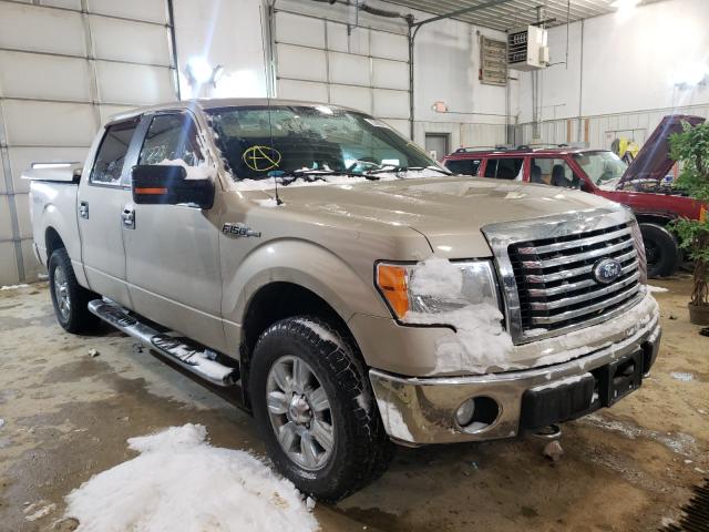 FORD F150 SUPER 2010 1ftew1e88afa36378