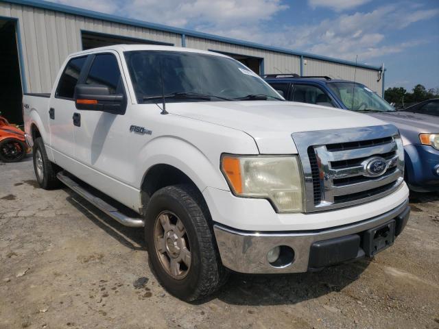 FORD F150 SUPER 2010 1ftew1e88afb03416