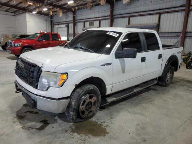 FORD F150 SUPER 2010 1ftew1e88afb31927