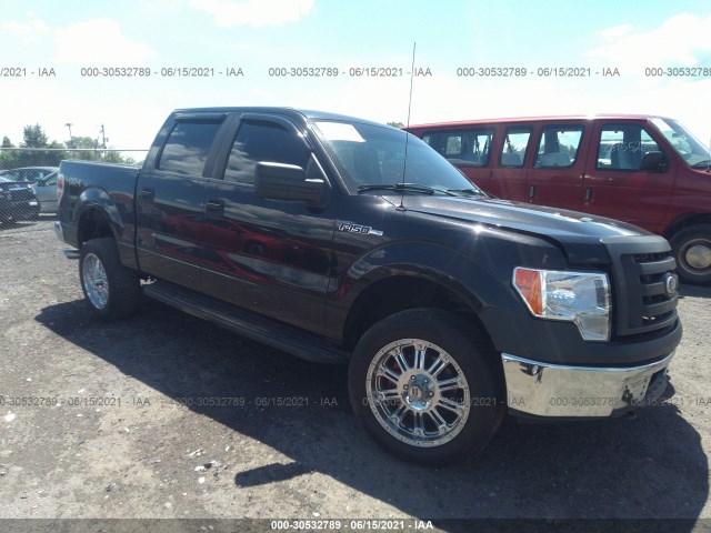 FORD F-150 2010 1ftew1e88afb44385