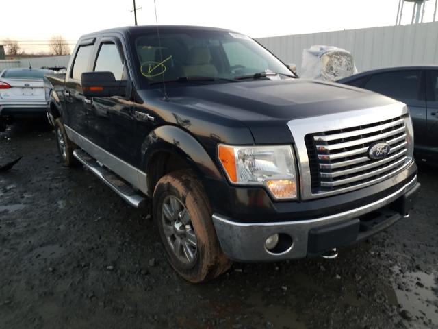 FORD F150 SUPER 2010 1ftew1e88afb56049