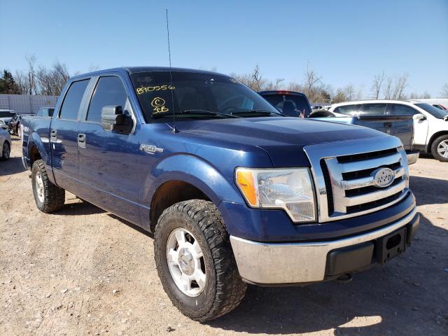 FORD F150 SUPER 2010 1ftew1e88afb90556