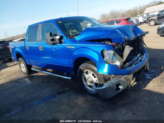 FORD F-150 2010 1ftew1e88afb95661