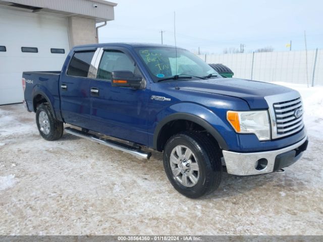 FORD F-150 2010 1ftew1e88afc03709