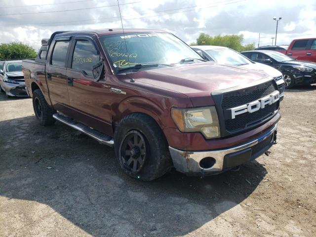 FORD F150 SUPER 2010 1ftew1e88afc04262