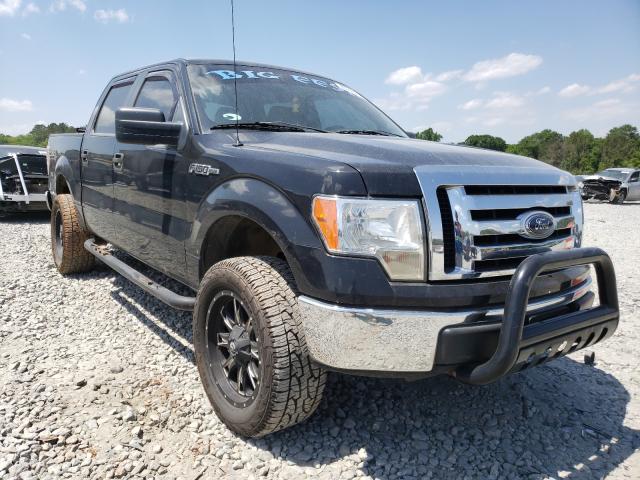 FORD F150 SUPER 2010 1ftew1e88afc24690