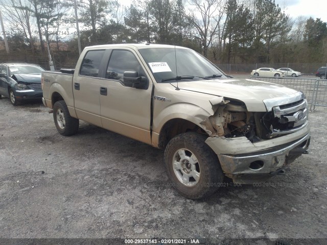 FORD F-150 2010 1ftew1e88afc74974