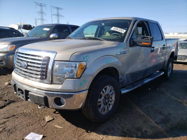 FORD F150 SUPER 2010 1ftew1e88afd23638