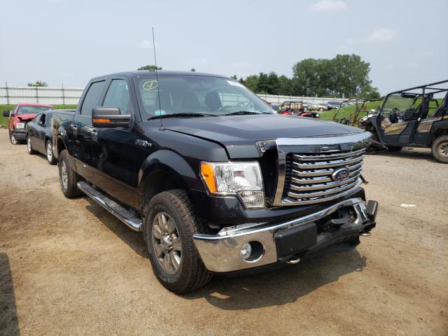 FORD NULL 2010 1ftew1e88afd46076