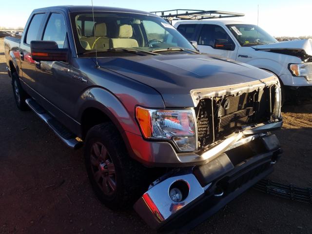 FORD F150 SUPER 2010 1ftew1e88afd63671