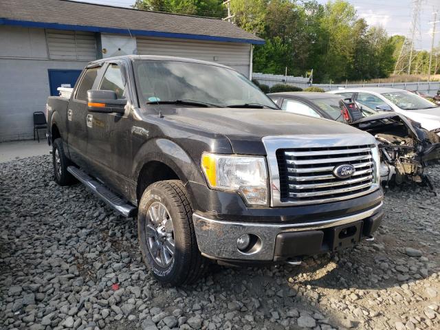 FORD F150 SUPER 2010 1ftew1e88afd74590