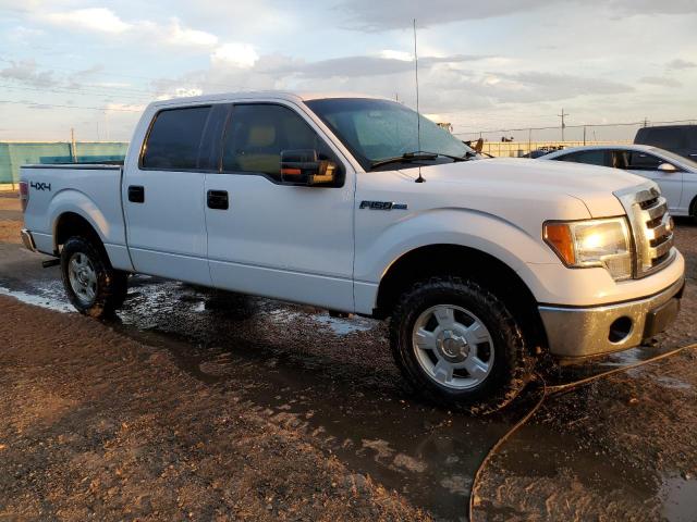 FORD F150 SUPER 2010 1ftew1e88afd78235