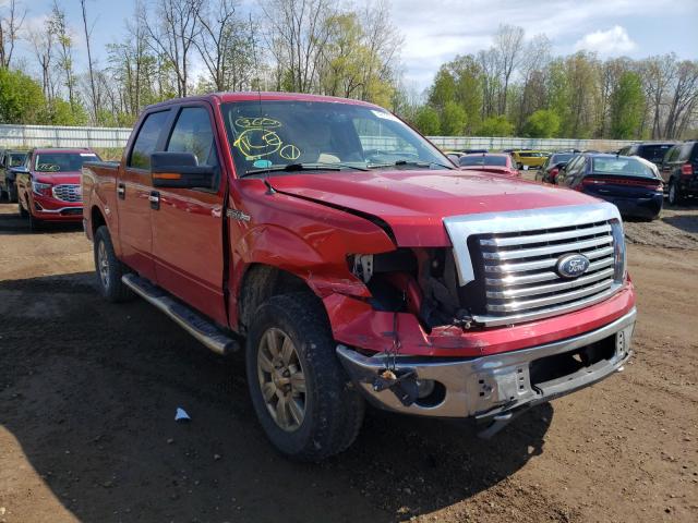 FORD F150 SUPER 2010 1ftew1e88afd86030