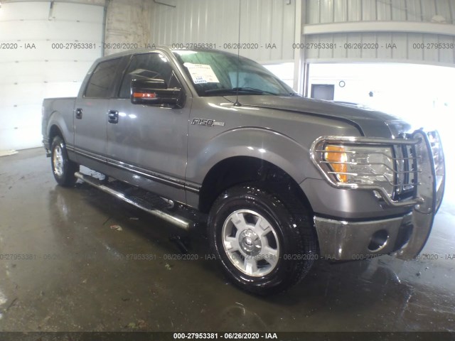 FORD F-150 2010 1ftew1e88afd89428