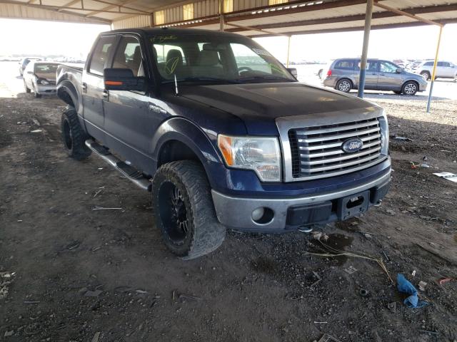 FORD F150 SUPER 2010 1ftew1e88aka38705