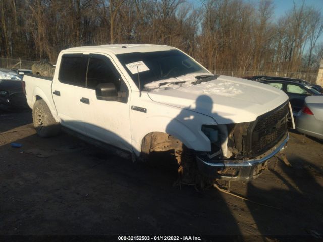 FORD F-150 2016 1ftew1e88gfb57355