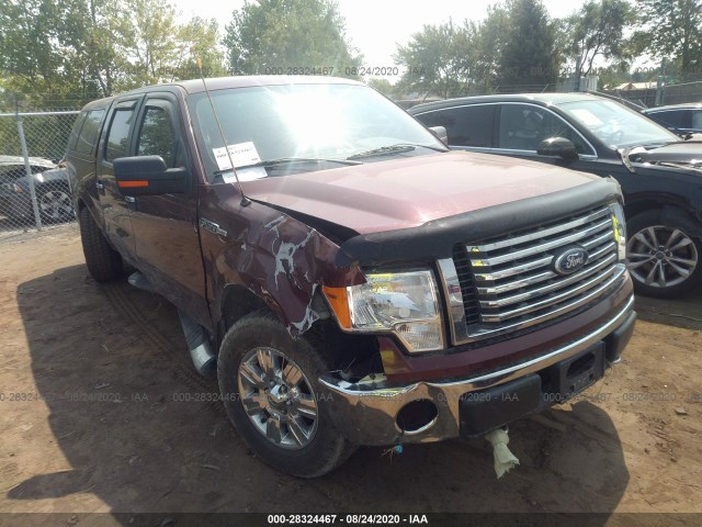 FORD F-150 2010 1ftew1e89afa18536