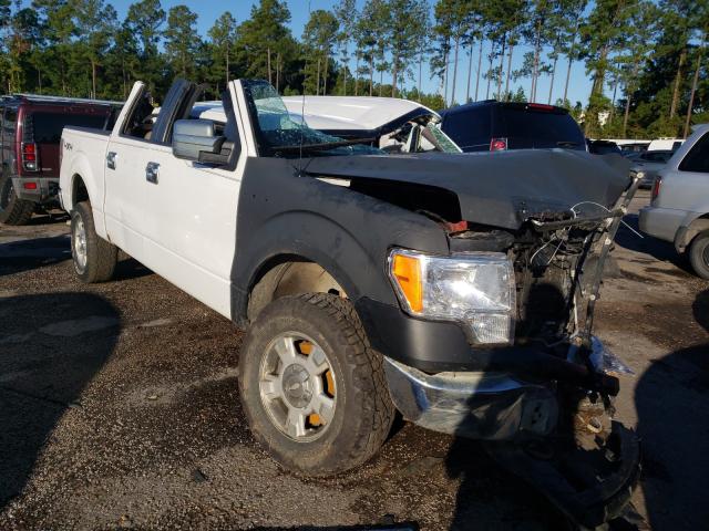 FORD F150 SUPER 2010 1ftew1e89afa29309